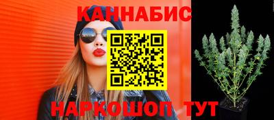 прущий лед Будённовск
