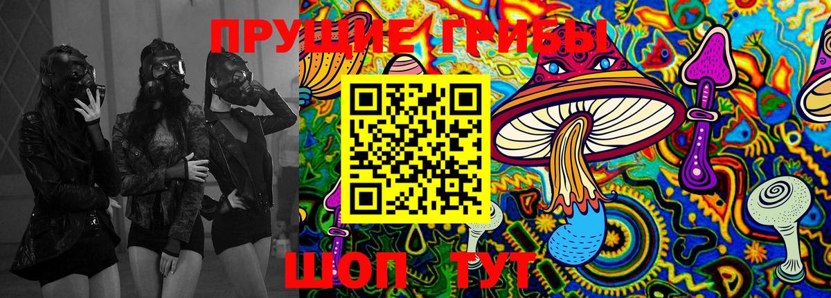 Галлюциногенные грибы Psilocybe Сарапул