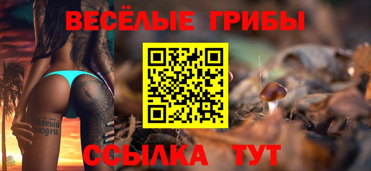 Сарапул  даркнет сайт  Вход с VPN  Псилоцибиновые грибы мухоморы 